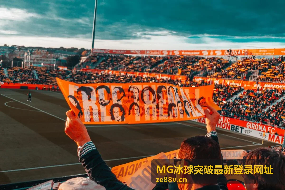 登录异常处理方案合集